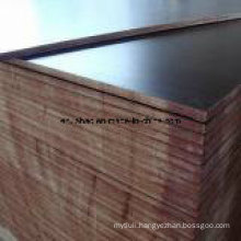 Birch Core Plywood Phenolic Glue for Constructions Usages